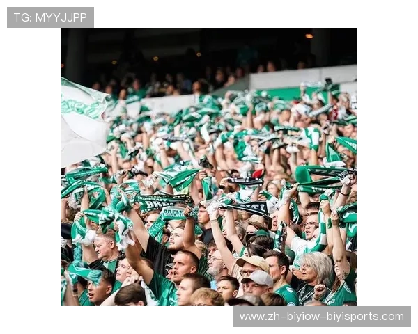 德甲球队代表性旗帜设计及球迷文化展示