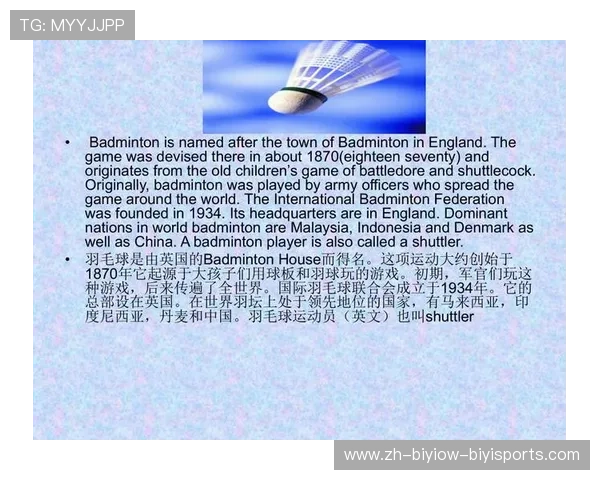 羽毛球介绍视频