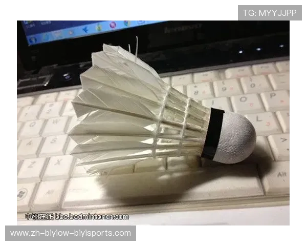 羽毛球耐打评测