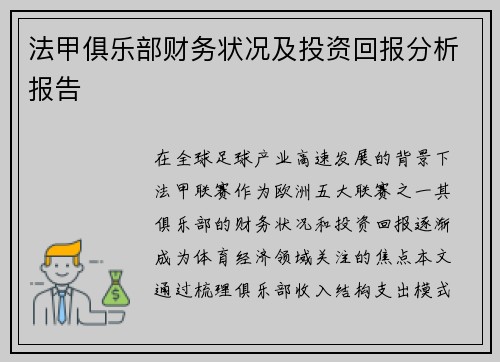法甲俱乐部财务状况及投资回报分析报告